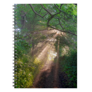 Waldweg Notizblock