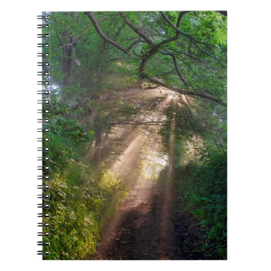 Waldweg Notizblock (Vorderseite)