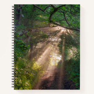 Waldweg Notizblock