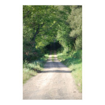 Waldweg oder Schotterstraße auf der Landseite