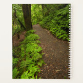 Waldweg Planer (Rückseite)