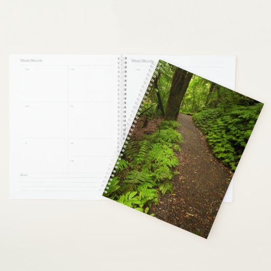 Waldweg Planer (Anzeige)