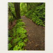 Waldweg Planer (Vorderseite)