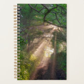 Waldweg Planer (Vorderseite)