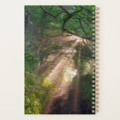 Waldweg Planer (Rückseite)