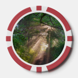 Waldweg Pokerchips
