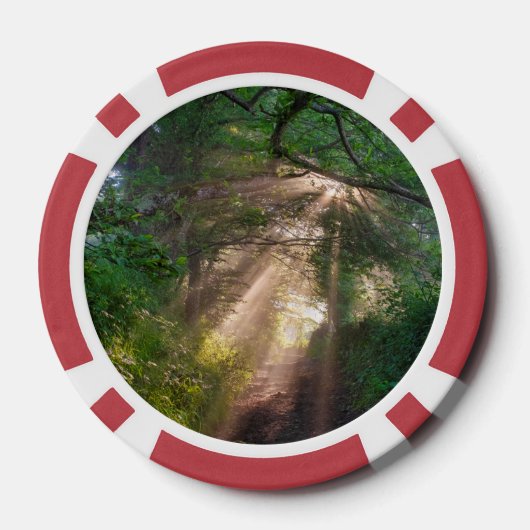 Waldweg Pokerchips (Rückseite)