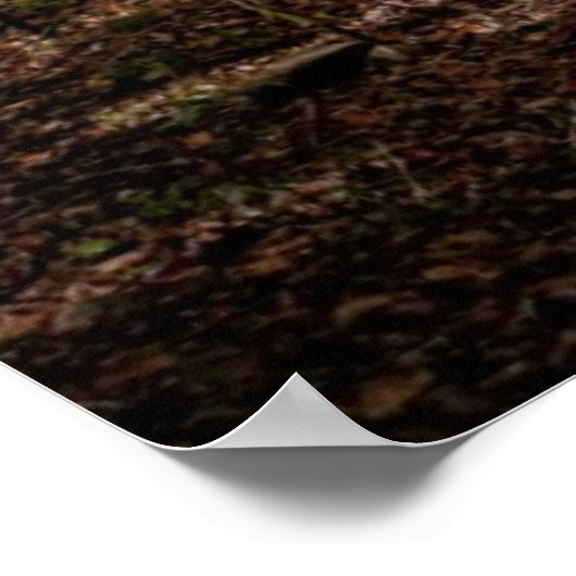 Waldweg Poster (Ecke)