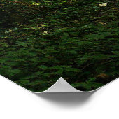 Waldweg Poster (Ecke)