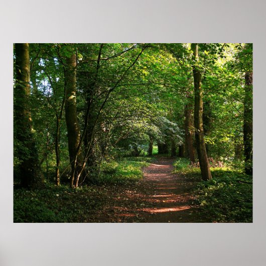 Waldweg Poster (Vorne)