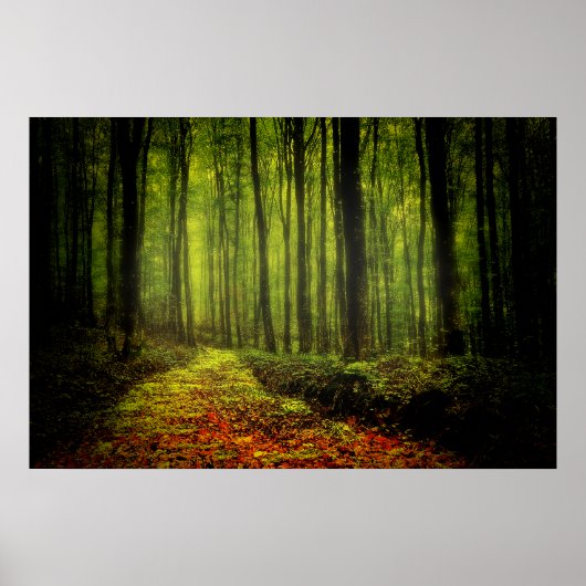 Waldweg Poster (Vorne)