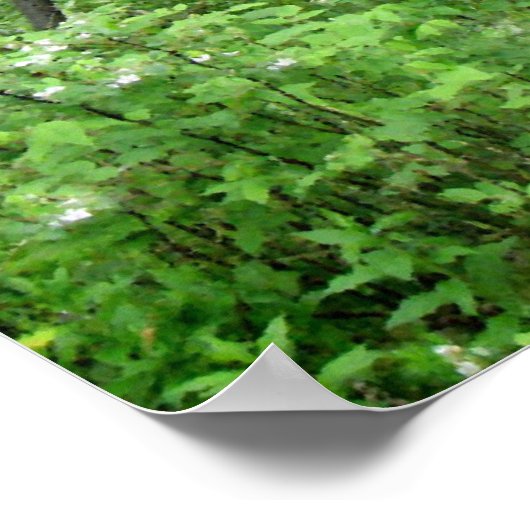 Waldweg Poster (Ecke)