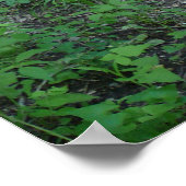 Waldweg Poster (Ecke)