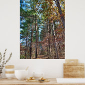 Waldweg Poster (Küche)