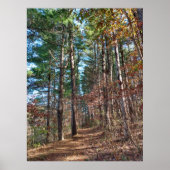 Waldweg Poster (Vorne)