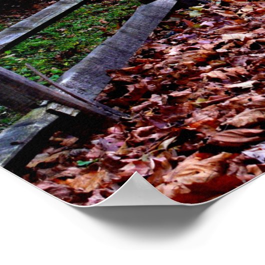 Waldweg Poster (Ecke)