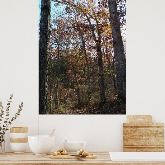 Waldweg Poster (Küche)