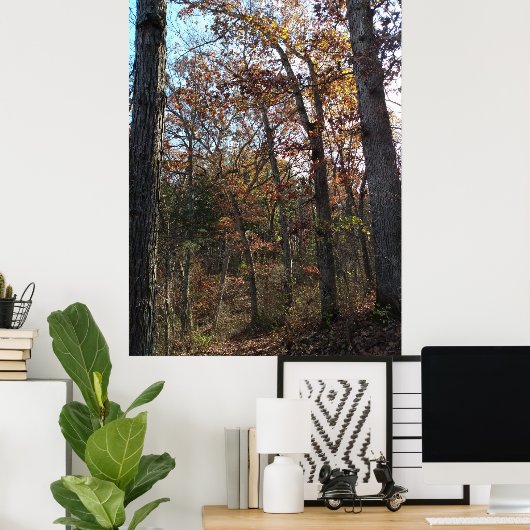 Waldweg Poster (Heimbüro)