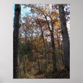 Waldweg Poster (Vorne)