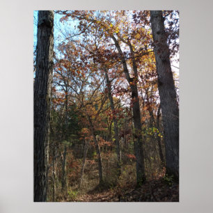 Waldweg Poster
