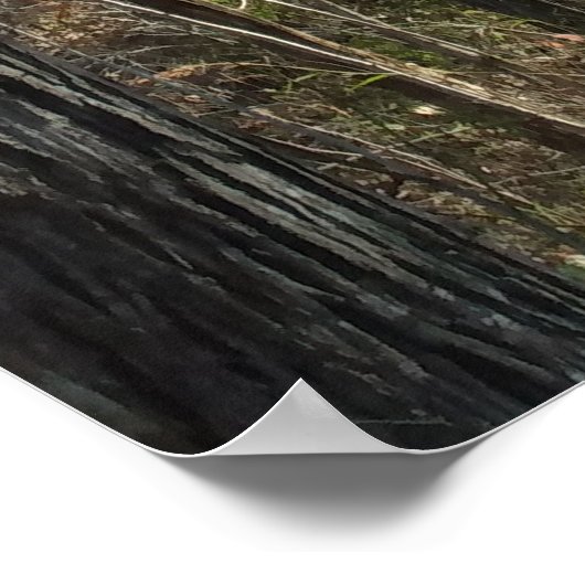 Waldweg Poster (Ecke)