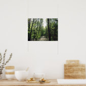 Waldweg Poster (Küche)