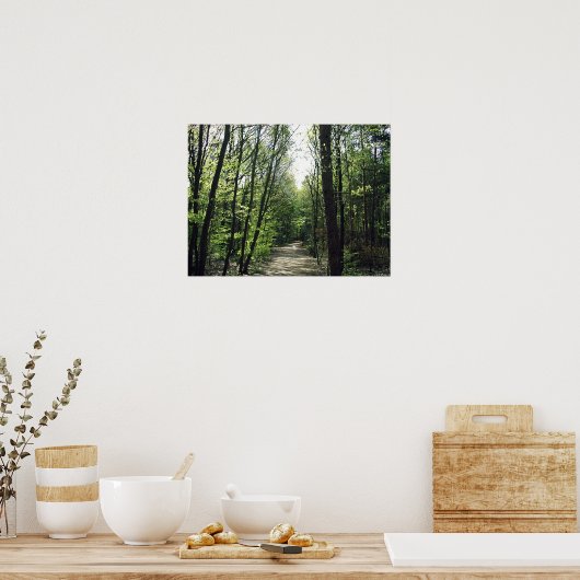 Waldweg Poster (Küche)