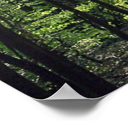 Waldweg Poster (Ecke)