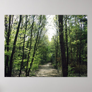 Waldweg Poster
