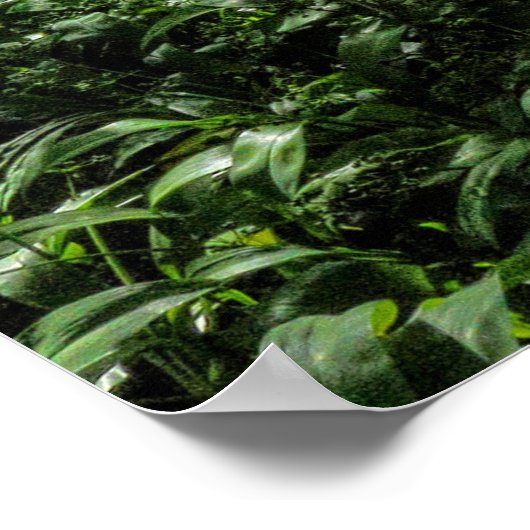 Waldweg Poster (Ecke)