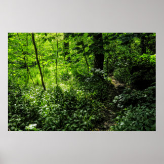 Waldweg Poster