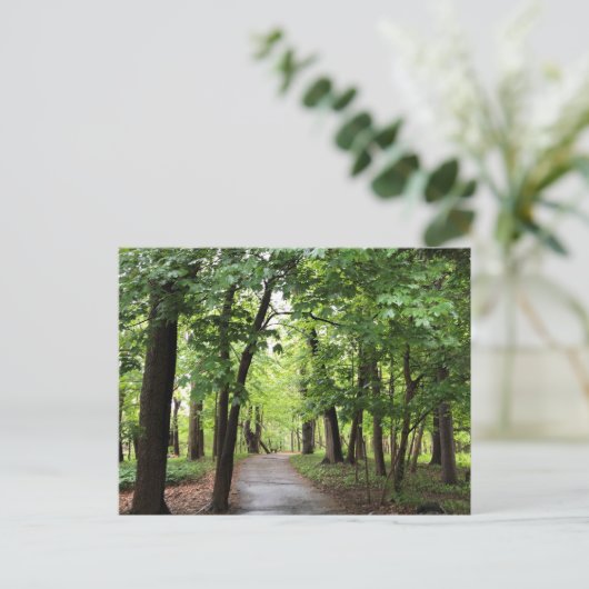 Waldweg Postkarte (Stehend Vorderseite)