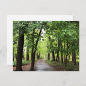 Waldweg Postkarte (Vorne/Hinten)