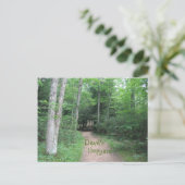 Waldweg Postkarte (Stehend Vorderseite)