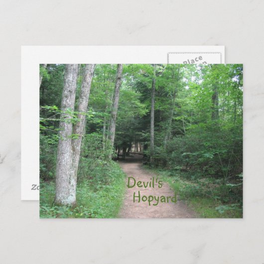 Waldweg Postkarte (Vorne/Hinten)