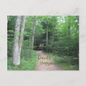 Waldweg Postkarte (Vorderseite)