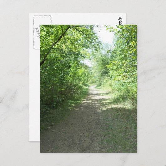 Waldweg Postkarte (Vorne/Hinten)