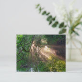 Waldweg Postkarte (Stehend Vorderseite)