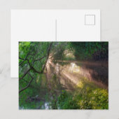 Waldweg Postkarte (Vorne/Hinten)