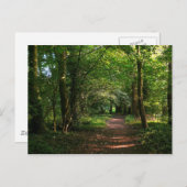 Waldweg Postkarte (Vorne/Hinten)