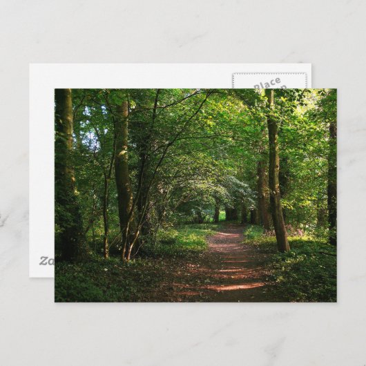 Waldweg Postkarte (Vorne/Hinten)