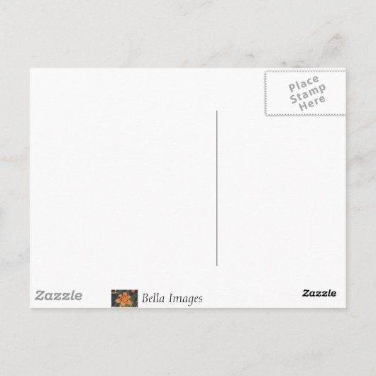 Waldweg - Postkarte (Rückseite)