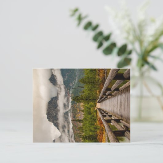 Waldweg Postkarte (Stehend Vorderseite)