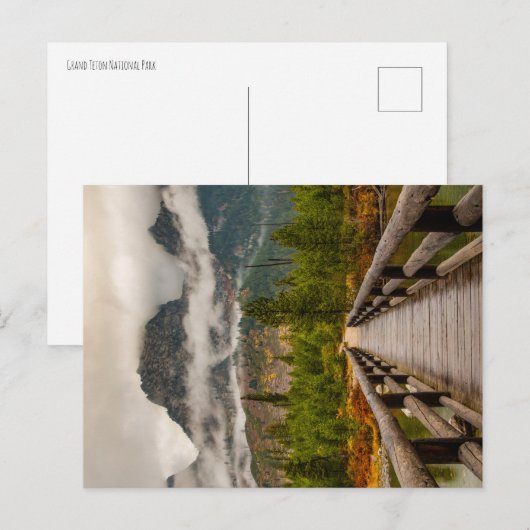 Waldweg Postkarte (Vorne/Hinten)