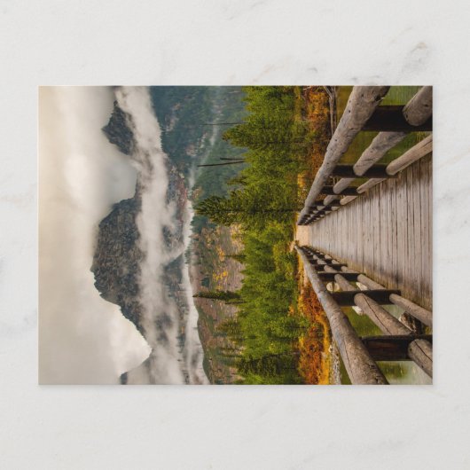 Waldweg Postkarte (Vorderseite)