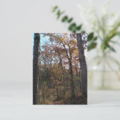 Waldweg Postkarte (Stehend Vorderseite)
