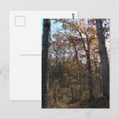 Waldweg Postkarte (Vorne/Hinten)