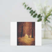 Waldweg... Postkarte (Stehend Vorderseite)