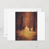 Waldweg... Postkarte (Vorne/Hinten)
