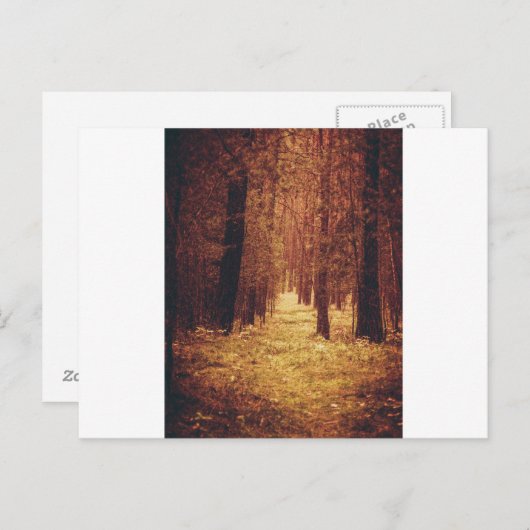 Waldweg... Postkarte (Vorne/Hinten)